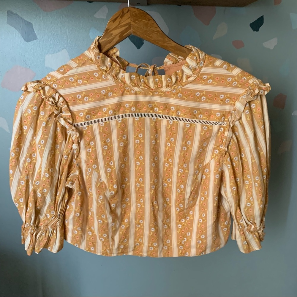 Urban Outfitters Floral Cottagecore Prairie Puff Sleeves Cropped Top